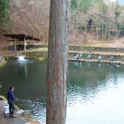 小菅トラウトガーデン 釣果