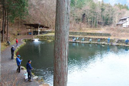 小菅トラウトガーデン 釣果