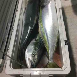 龍宮丸 釣果