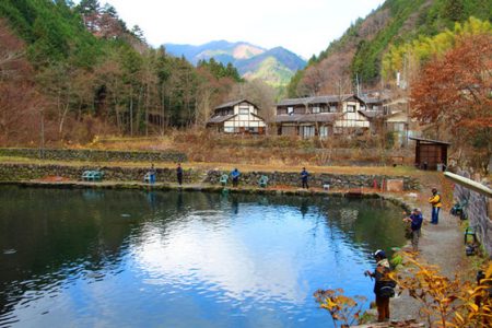 小菅トラウトガーデン 釣果