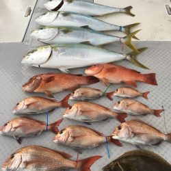 ミタチ丸 釣果