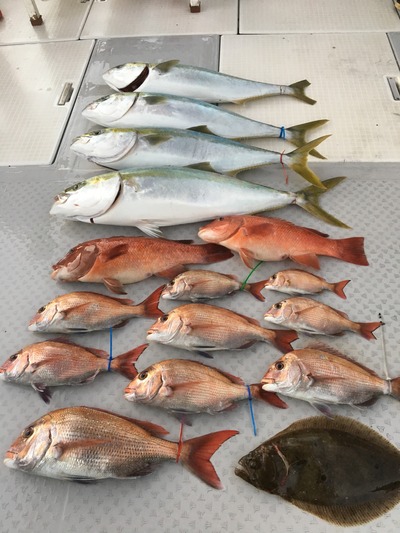 ミタチ丸 釣果