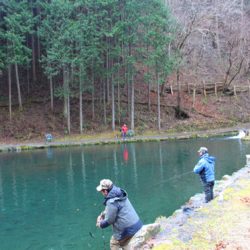 小菅トラウトガーデン 釣果