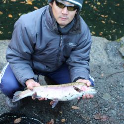 小菅トラウトガーデン 釣果