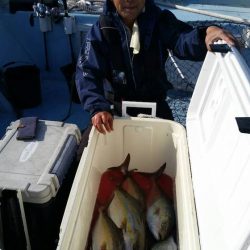 第五慶門丸 釣果