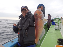 久里浜黒川本家 釣果