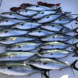 ふじしめ丸 釣果