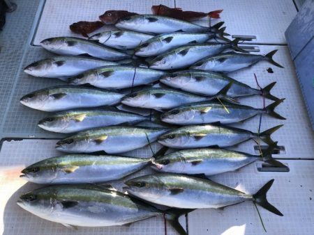 ふじしめ丸 釣果