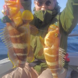 遊漁船 新鋭丸 釣果