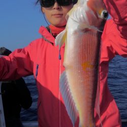 遊漁船 新鋭丸 釣果