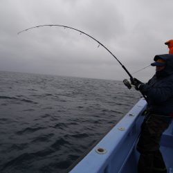 松鶴丸 釣果