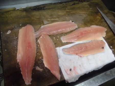 高萩ふれあいの里フィッシングエリア 釣果