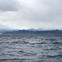 へいみつ丸 釣果