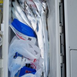 遊漁船 ニライカナイ 釣果