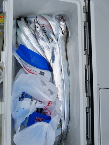 遊漁船 ニライカナイ 釣果