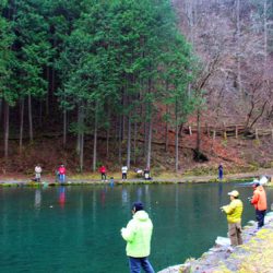 小菅トラウトガーデン 釣果