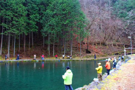 小菅トラウトガーデン 釣果