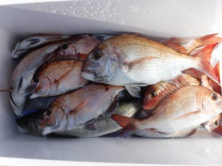 遊漁船 幸友丸 釣果