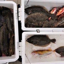 気仙沼 つり丸 釣果