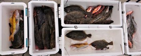 気仙沼　つり丸 釣果