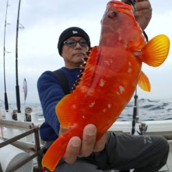 TOPGUN名古屋 釣果