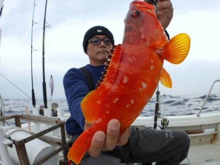 TOPGUN名古屋 釣果