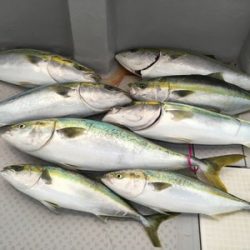 ミタチ丸 釣果
