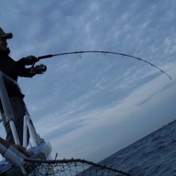 松鶴丸 釣果