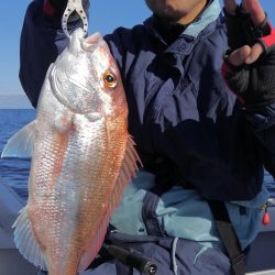 遊漁船 新鋭丸 釣果