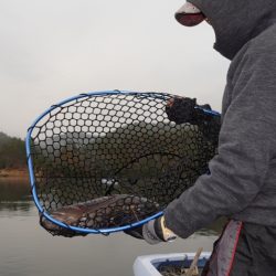 フィッシングレイクたかみや 釣果
