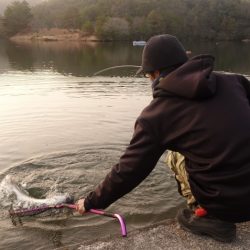 フィッシングレイクたかみや 釣果