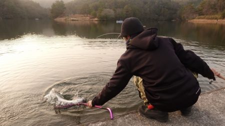 フィッシングレイクたかみや 釣果