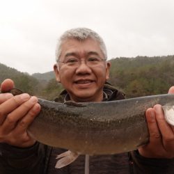 フィッシングレイクたかみや 釣果