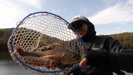 フィッシングレイクたかみや 釣果