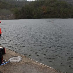 フィッシングレイクたかみや 釣果