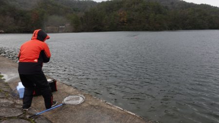 フィッシングレイクたかみや 釣果