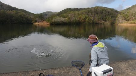 フィッシングレイクたかみや 釣果