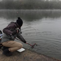 フィッシングレイクたかみや 釣果