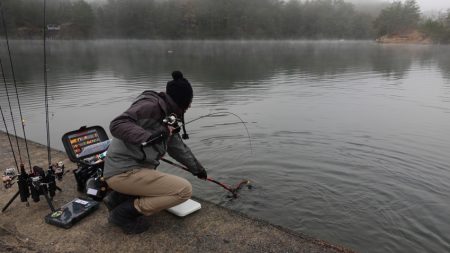 フィッシングレイクたかみや 釣果