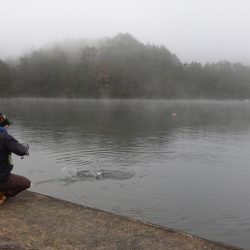 フィッシングレイクたかみや 釣果