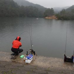 フィッシングレイクたかみや 釣果