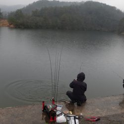 フィッシングレイクたかみや 釣果