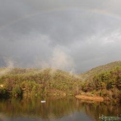 フィッシングレイクたかみや 釣果
