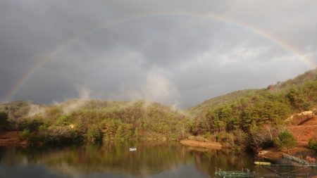フィッシングレイクたかみや 釣果