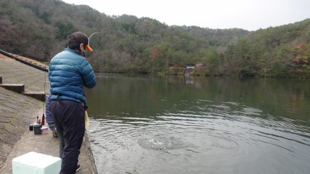 フィッシングレイクたかみや 釣果
