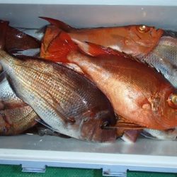 第二むつ漁丸 釣果