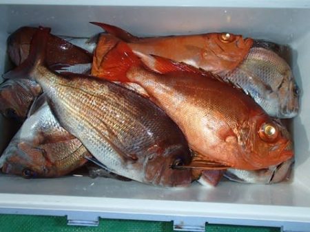 第二むつ漁丸 釣果