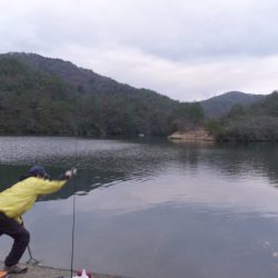 フィッシングレイクたかみや 釣果