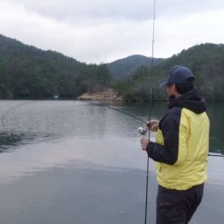 フィッシングレイクたかみや 釣果