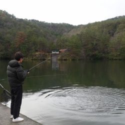 フィッシングレイクたかみや 釣果